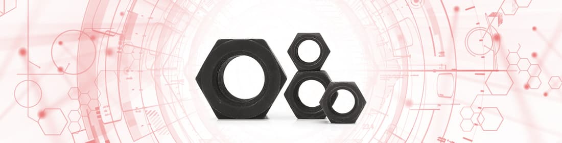 Hex Nuts